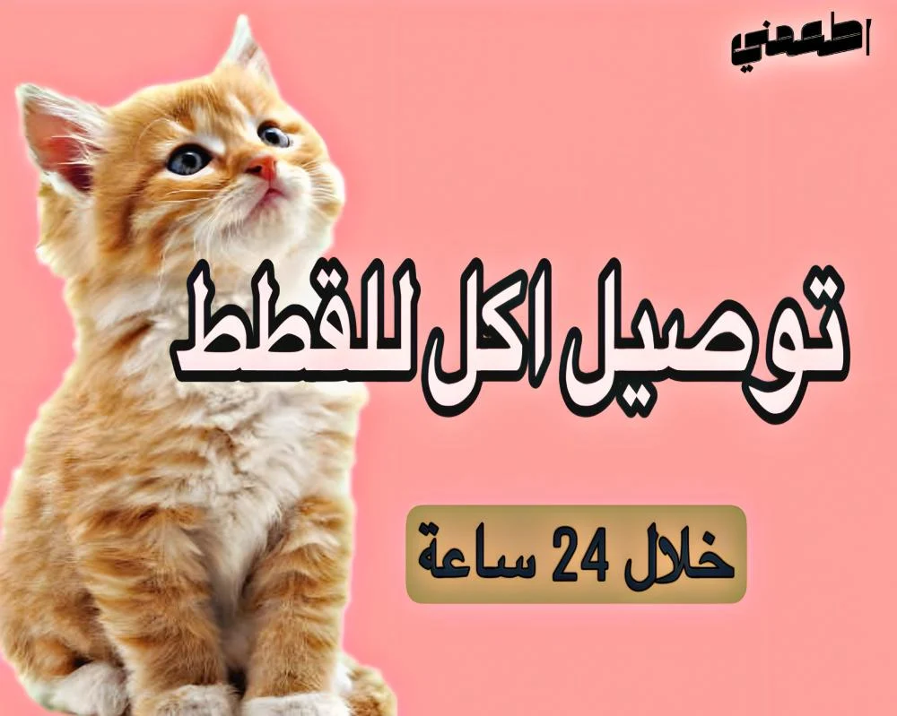 توصيل اكل قطط